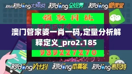 澳门管家婆一肖一码,定量分析解释定义_pro2.185