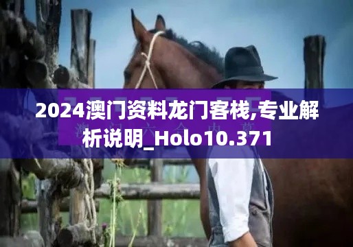 2024澳门资料龙门客栈,专业解析说明_Holo10.371