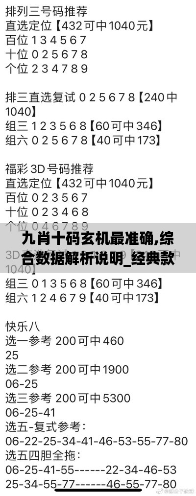 九肖十码玄机最准确,综合数据解析说明_经典款1.390