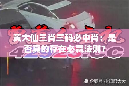 黄大仙三肖三码必中肖：是否真的存在必赢法则？
