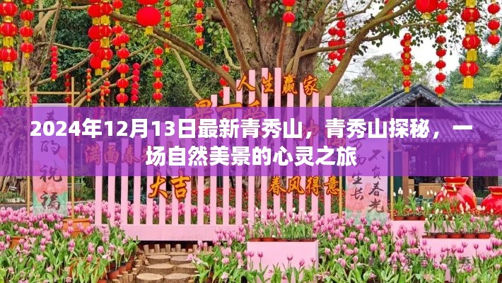青秀山心灵之旅，探寻自然美景的秘境（最新报道）