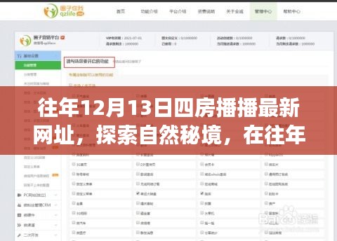 往年12月13日四房播播，自然秘境探索之旅，找寻内心平静的奇妙旅程