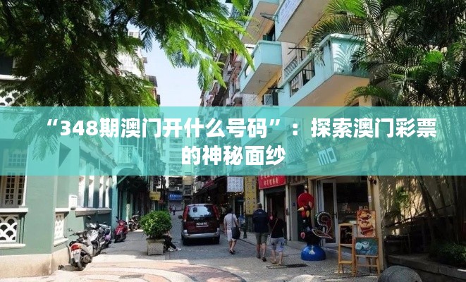 “348期澳门开什么号码”：探索澳门彩票的神秘面纱