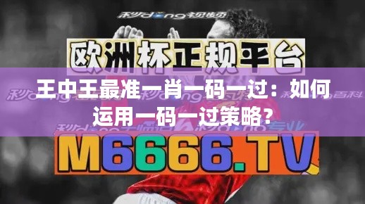 王中王最准一肖一码一过：如何运用一码一过策略？