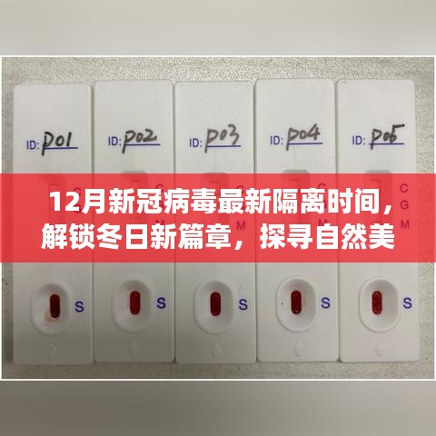 新冠病毒隔离时间调整，冬日自然之旅与防控和谐共舞的新篇章