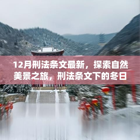 12月刑法条文最新下的自然美景探索，冬日宁静与自我发现的旅程