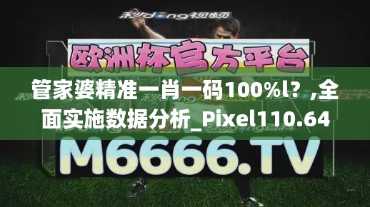 管家婆精准一肖一码100%l？,全面实施数据分析_Pixel110.644