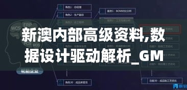新澳内部高级资料,数据设计驱动解析_GM版4.716