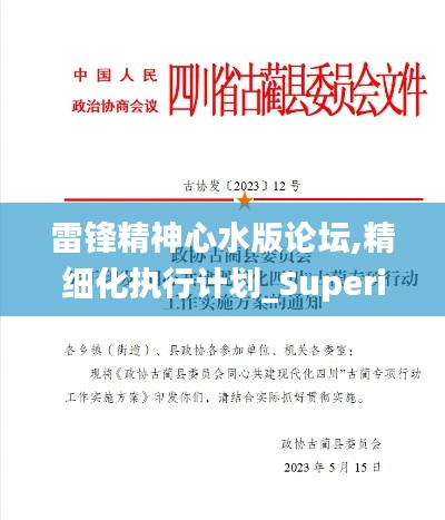 雷锋精神心水版论坛,精细化执行计划_Superior7.946