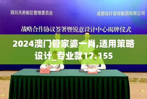2024澳门管家婆一肖,适用策略设计_专业款17.155