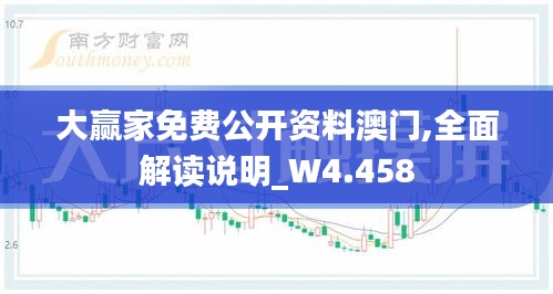 大赢家免费公开资料澳门,全面解读说明_W4.458