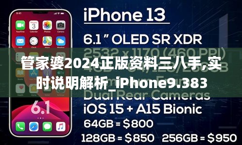 管家婆2024正版资料三八手,实时说明解析_iPhone9.383