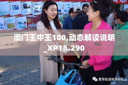 澳门王中王100,动态解读说明_XP18.290