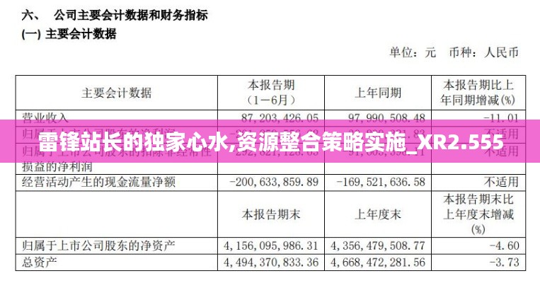 雷锋站长的独家心水,资源整合策略实施_XR2.555