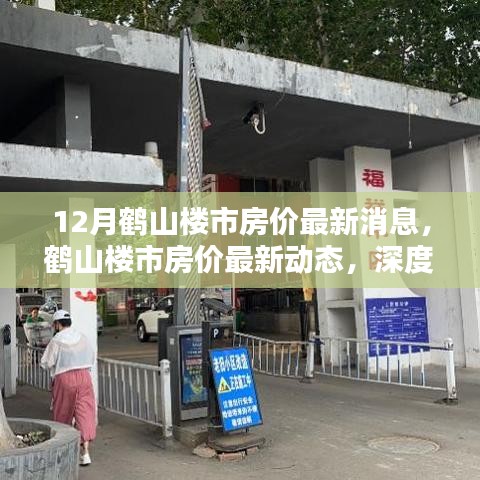 鹤山楼市最新房价动态，深度分析与个人观点