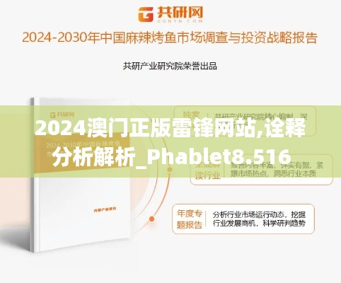 2024澳门正版雷锋网站,诠释分析解析_Phablet8.516
