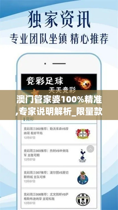 澳门管家婆100%精准,专家说明解析_限量款10.591
