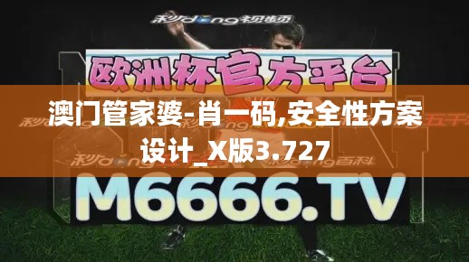 澳门管家婆-肖一码,安全性方案设计_X版3.727