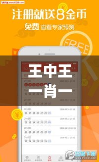 王中王一肖一特一中一MBA,深入数据应用解析_LE版2.332