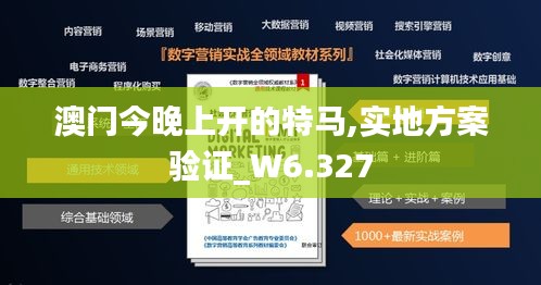 澳门今晚上开的特马,实地方案验证_W6.327