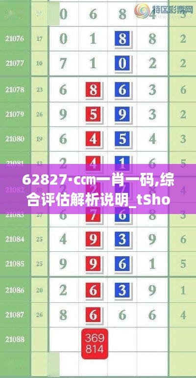 62827·c㎝一肖一码,综合评估解析说明_tShop9.354
