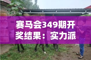 赛马会349期开奖结果：实力派马匹的惊艳表现