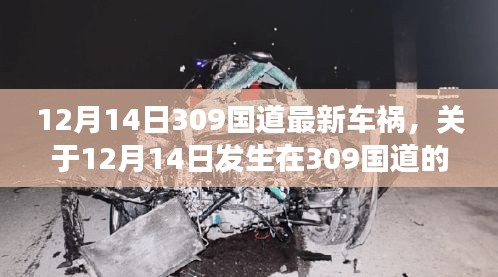 12月14日309国道车祸事件深度解析，事故现场与救援情况