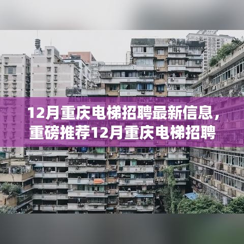 12月重庆电梯招聘最新信息及优质职位推荐