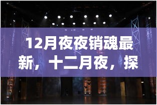 十二月夜探寻美景之旅，夜之魅力的心灵归途