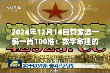 2024年12月14日管家婆一码一肖100准：数字命理的现代演绎