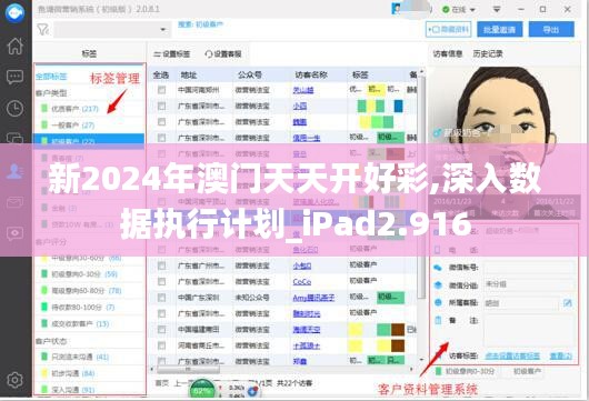 新2024年澳门天天开好彩,深入数据执行计划_iPad2.916