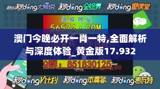 澳门今晚必开一肖一特,全面解析与深度体验_黄金版17.932