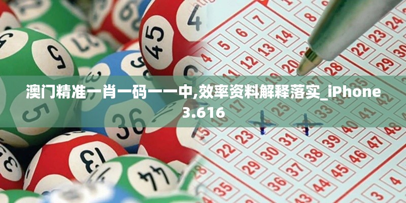 澳门精准一肖一码一一中,效率资料解释落实_iPhone3.616
