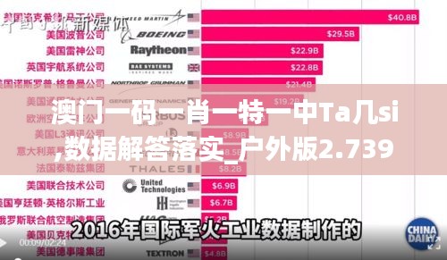 澳门一码一肖一特一中Ta几si,数据解答落实_户外版2.739