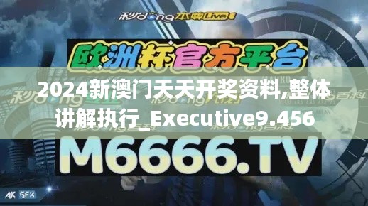 2024新澳门天天开奖资料,整体讲解执行_Executive9.456