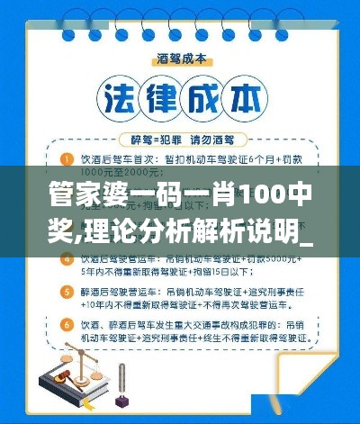 管家婆一码一肖100中奖,理论分析解析说明_PT4.209