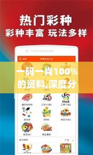 一码一肖100%的资料,深度分析解释定义_MP7.372