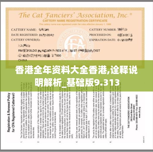虚张声势 第3页