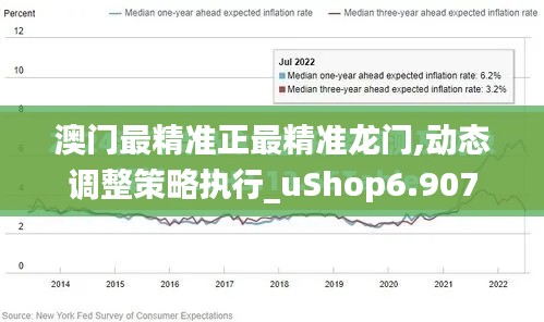 澳门最精准正最精准龙门,动态调整策略执行_uShop6.907