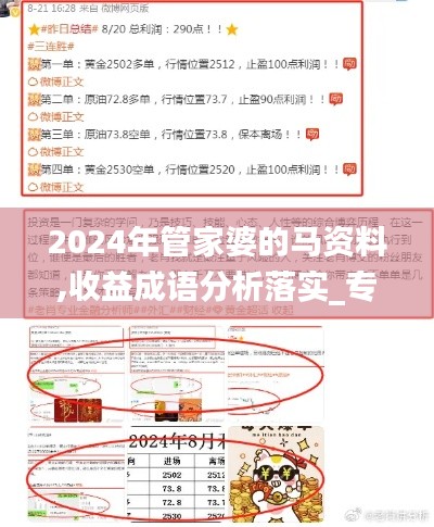 2024年管家婆的马资料,收益成语分析落实_专业款5.917