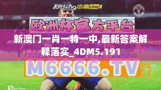新澳门一肖一特一中,最新答案解释落实_4DM5.191