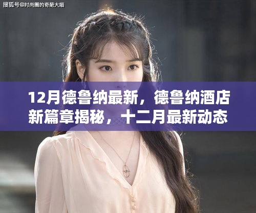 德鲁纳酒店新篇章揭秘，十二月最新动态概览
