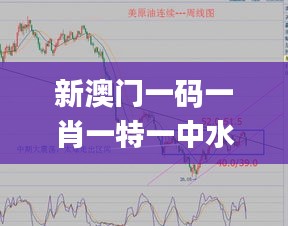 新澳门一码一肖一特一中水果爷爷,未来解答解释定义_尊享款1.619