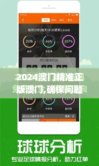 2024澳门精准正版澳门,确保问题解析_探索版5.410