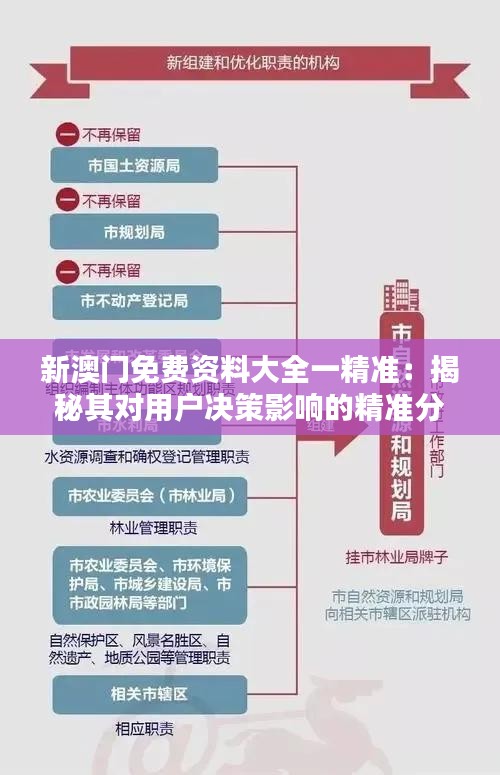 新澳门免费资料大全一精准：揭秘其对用户决策影响的精准分析技巧
