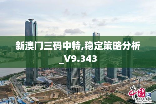 新澳门三码中特,稳定策略分析_V9.343