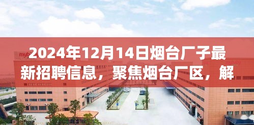 聚焦烟台厂区，最新招聘信息下的机遇与挑战解析（2024年12月14日）
