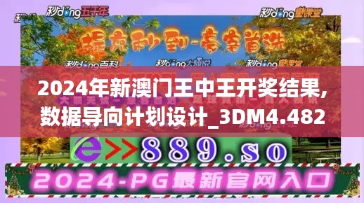 2024年新澳门王中王开奖结果,数据导向计划设计_3DM4.482