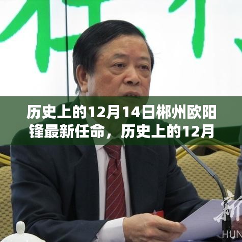 历史上的12月14日，郴州欧阳锋的最新任命与全面评测