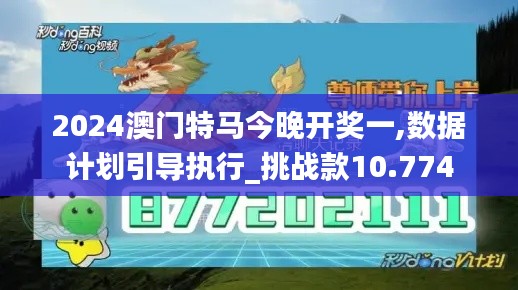 2024澳门特马今晚开奖一,数据计划引导执行_挑战款10.774